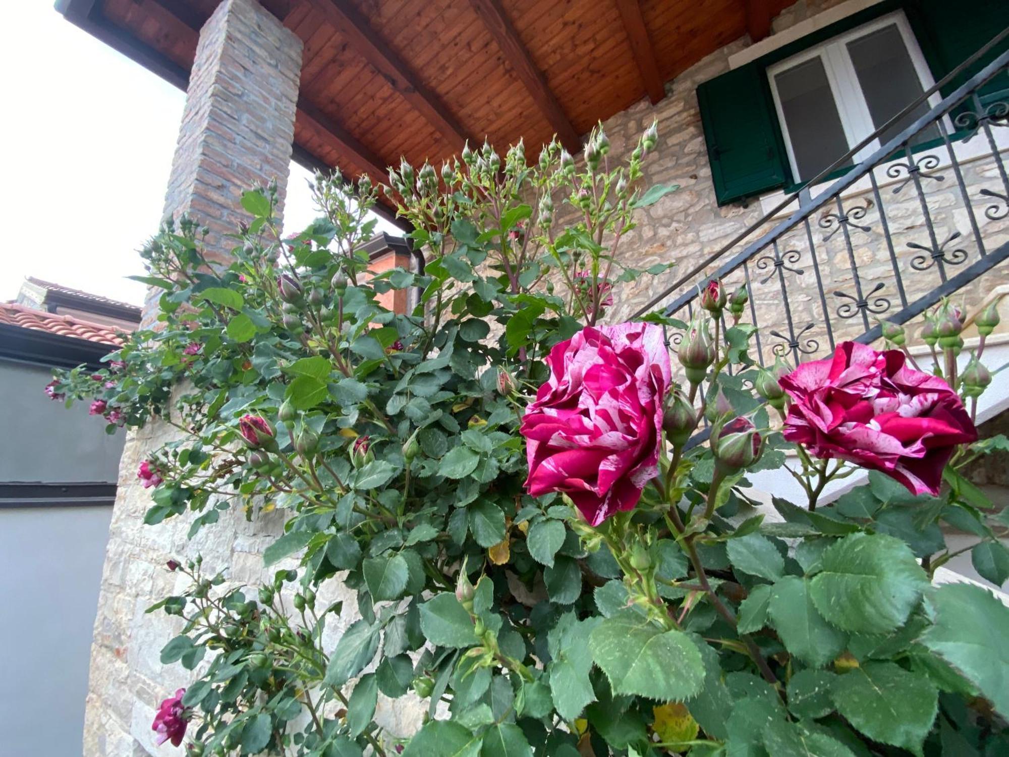 Bašanija Villa Kortina מראה חיצוני תמונה
